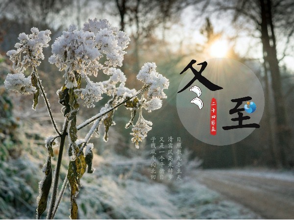 冬至陽生，尊水直飲水邀您健康飲水！